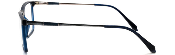 IPN1002
