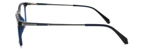 IPN1001
