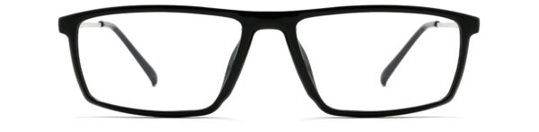 IPN1004