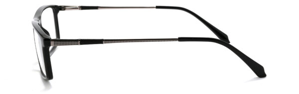 IPN1004