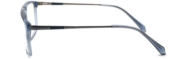 IPN1003