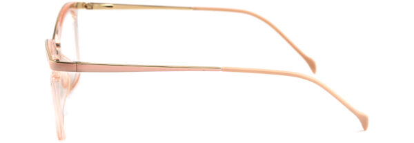 IP2196