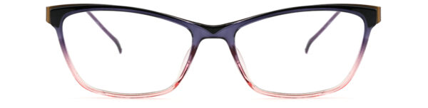 IP.BD2308