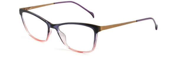 IP.BD2308