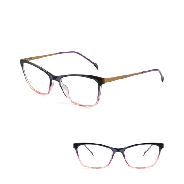 IP.BD2308