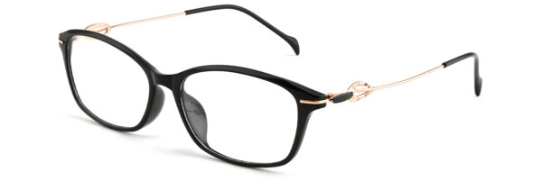 IP.BD2306