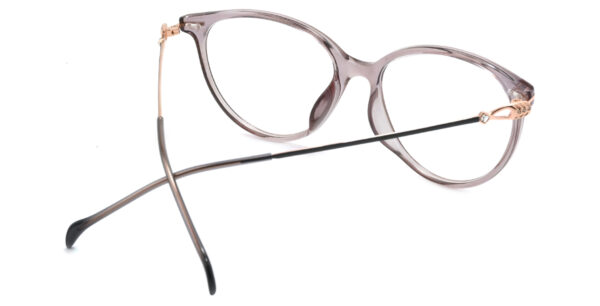 IP.BD2301