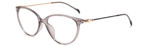 IP.BD2301