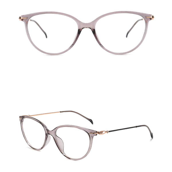 IP.BD2301