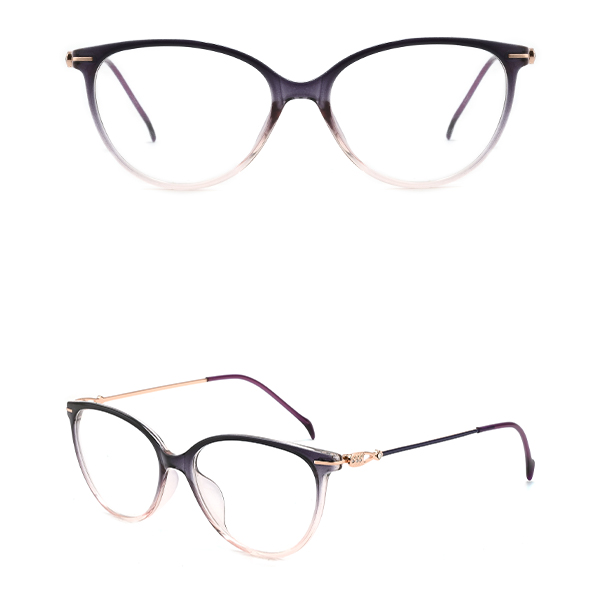 IP.BD2301