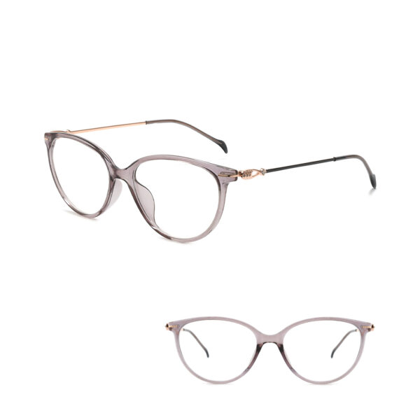 IP.BD2301