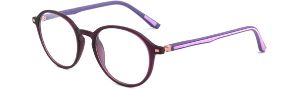 BD.IP7006