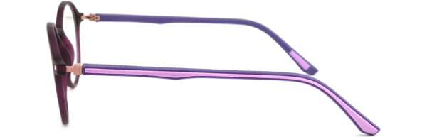 BD.IP7006