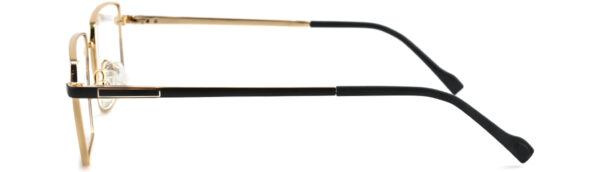 SV01006