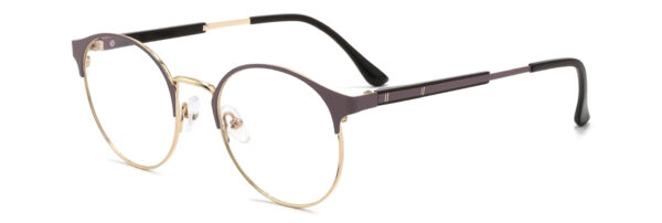 IP.BD5004