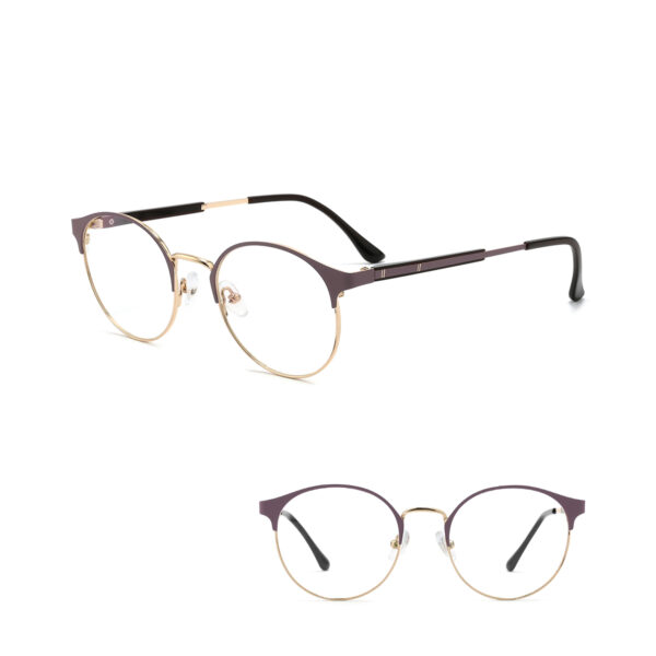 IP.BD5004