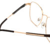 IP.BD5007