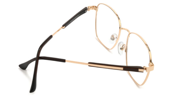 IP.BD5007