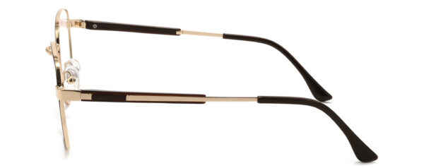 IP.BD5007