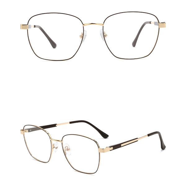IP.BD5007