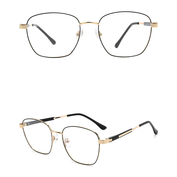IP.BD5007