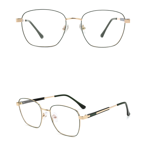 IP.BD5007