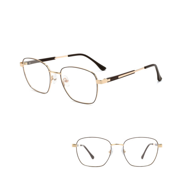 IP.BD5007