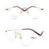 BD.IP8005