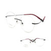 BD.IP8005