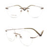 BD.IP8006