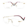 BD.IP8001