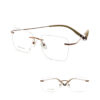 BD.IP8001