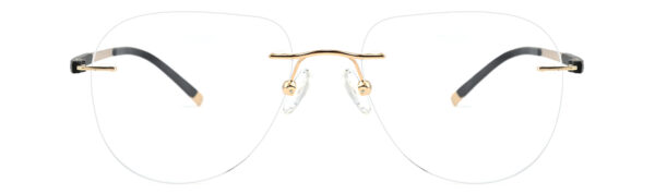 BD-IP4001