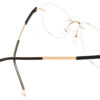 BD-IP4001
