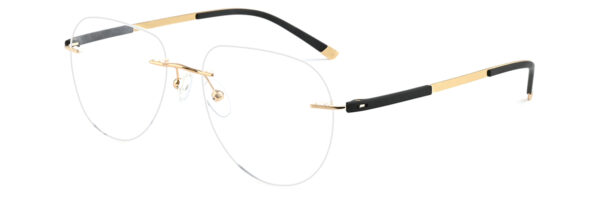 BD-IP4001