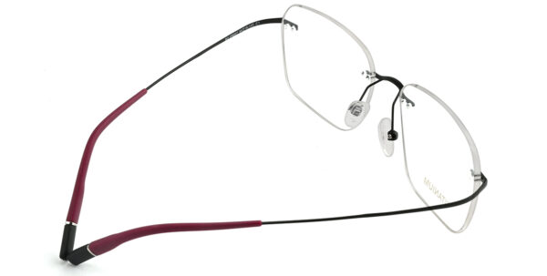 BD.IP8007