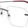 BD.IP8007