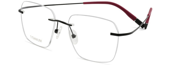 BD.IP8007