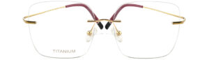 BD.IP8003