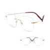 BD.IP8003