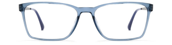 BDIP-1029