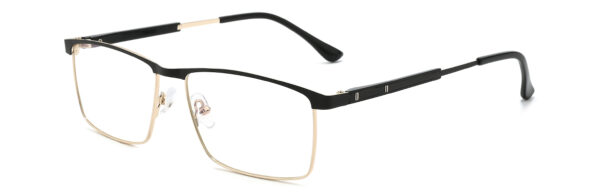 IP.BD5006
