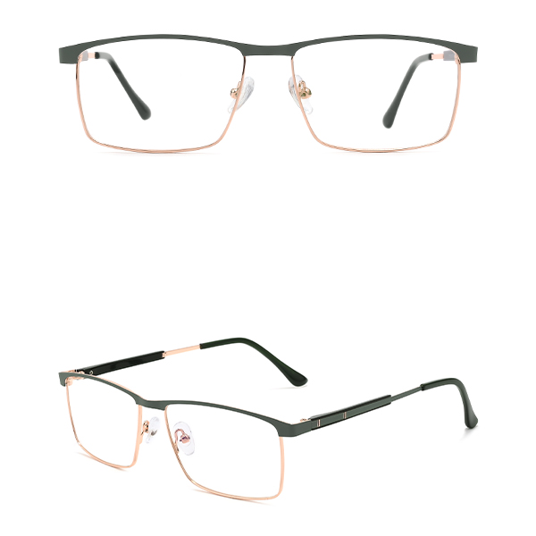 IP.BD5006