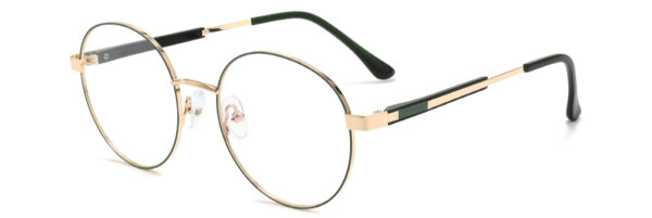 IP.BD5008
