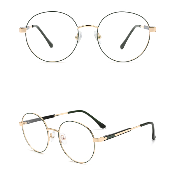 IP.BD5008