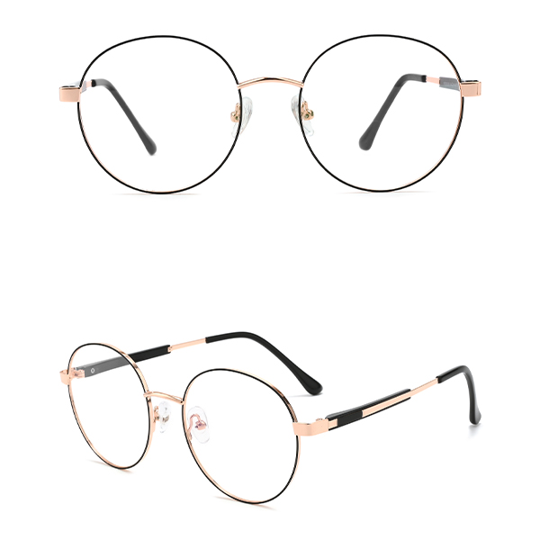 IP.BD5008