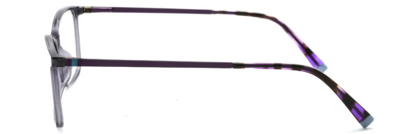 BD.IP2411