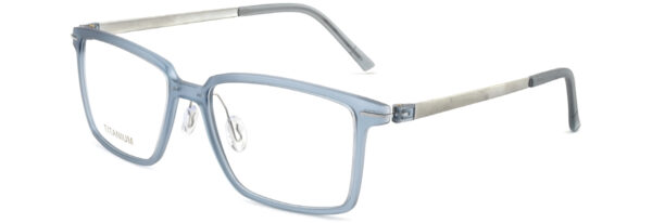 BD.IP8010