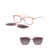 BD.IP.H30687