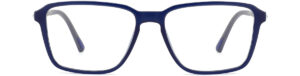BD.IP1060